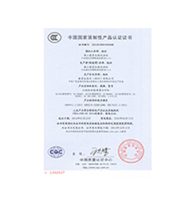 大笨象榮譽(yù)資質(zhì)