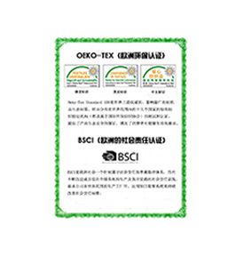 大笨象榮譽(yù)資質(zhì)