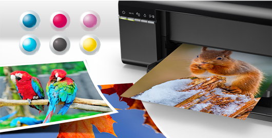 真正6色，靚麗持久 - Epson 墨倉(cāng)式<sup>?</sup>L805產(chǎn)品功能